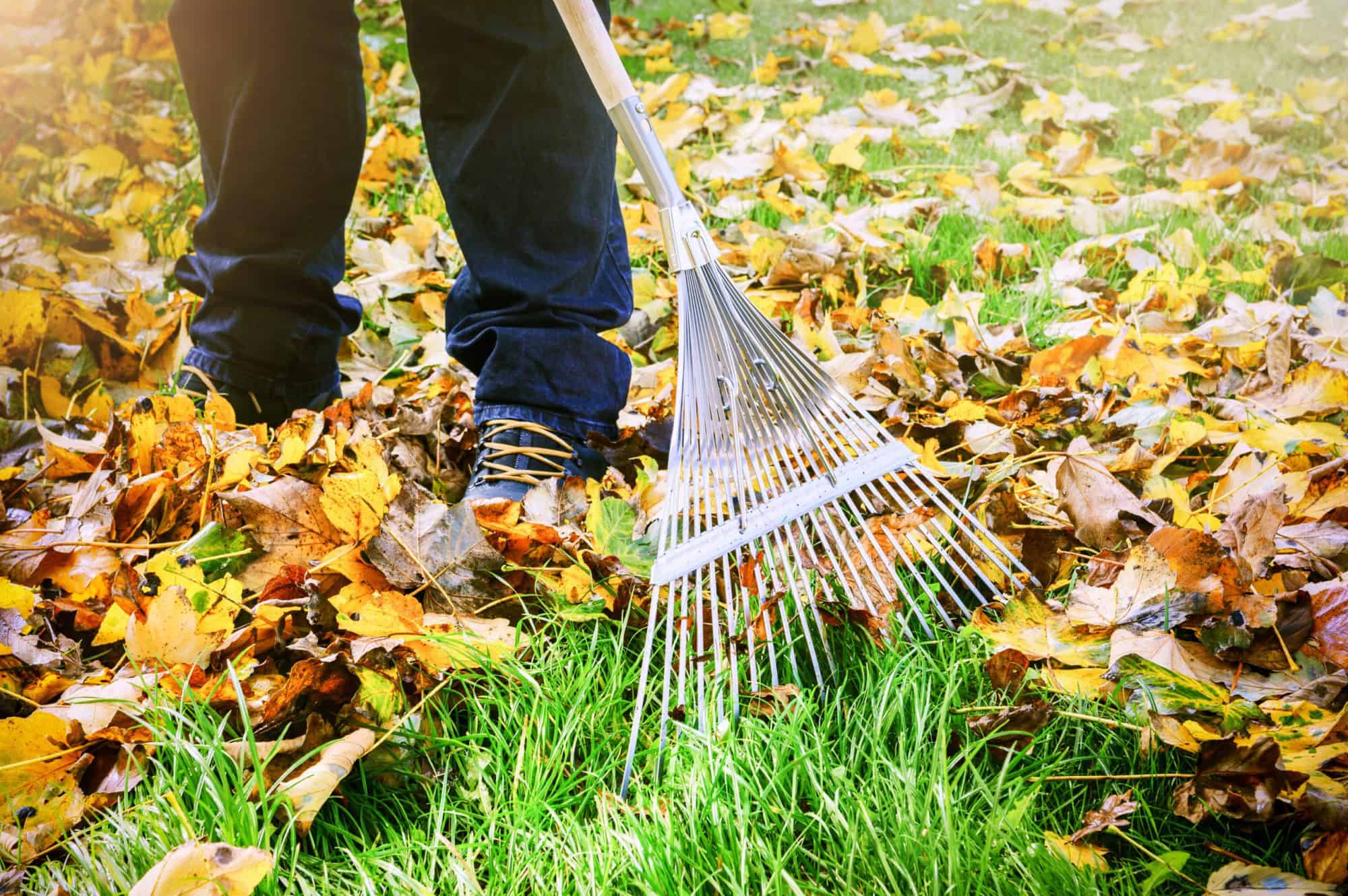 Is Returning to Yard Work or Exercise Causing You Pain? - Optimal ...